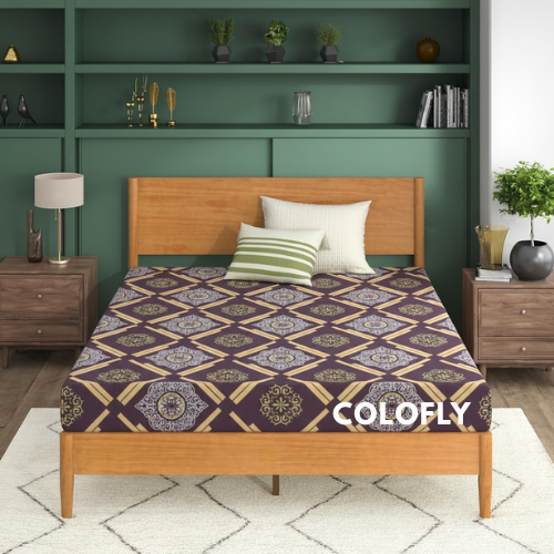 COLOFLY HR Foam Mattress with 5 Year Warranty | Medium Firm Comfort | 2 Inch & 3 Inch Thickness - Colofly
