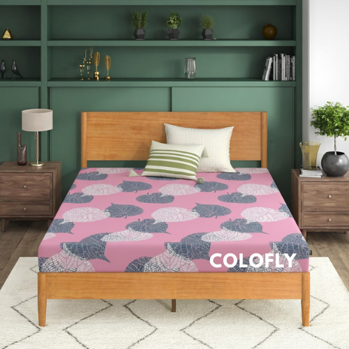 COLOFLY HR Foam Mattress with 5 Year Warranty | Medium Firm Comfort | 2 Inch & 3 Inch Thickness - Colofly