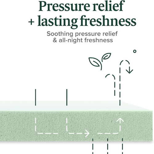 COLOFLY HR Foam Mattress with 5 Year Warranty | Medium Firm Comfort | 2 Inch & 3 Inch Thickness - Colofly